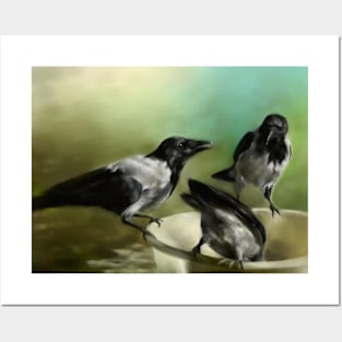 Hooded crows Posters and Art